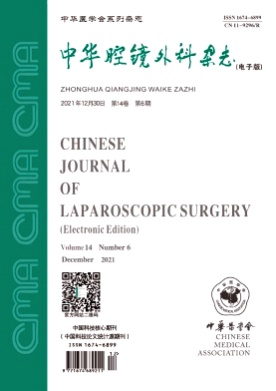 中华腔镜外科杂志(电子版)杂志